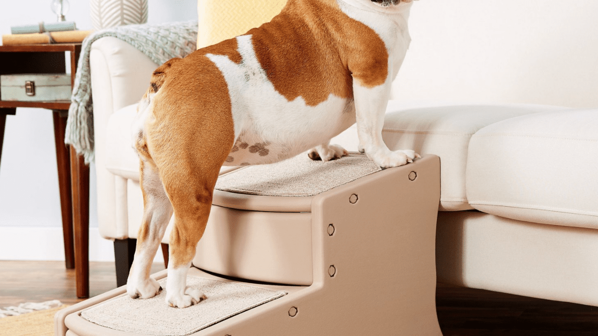 Эффективные рекомендации по выбору прикроватных ступенек для собак